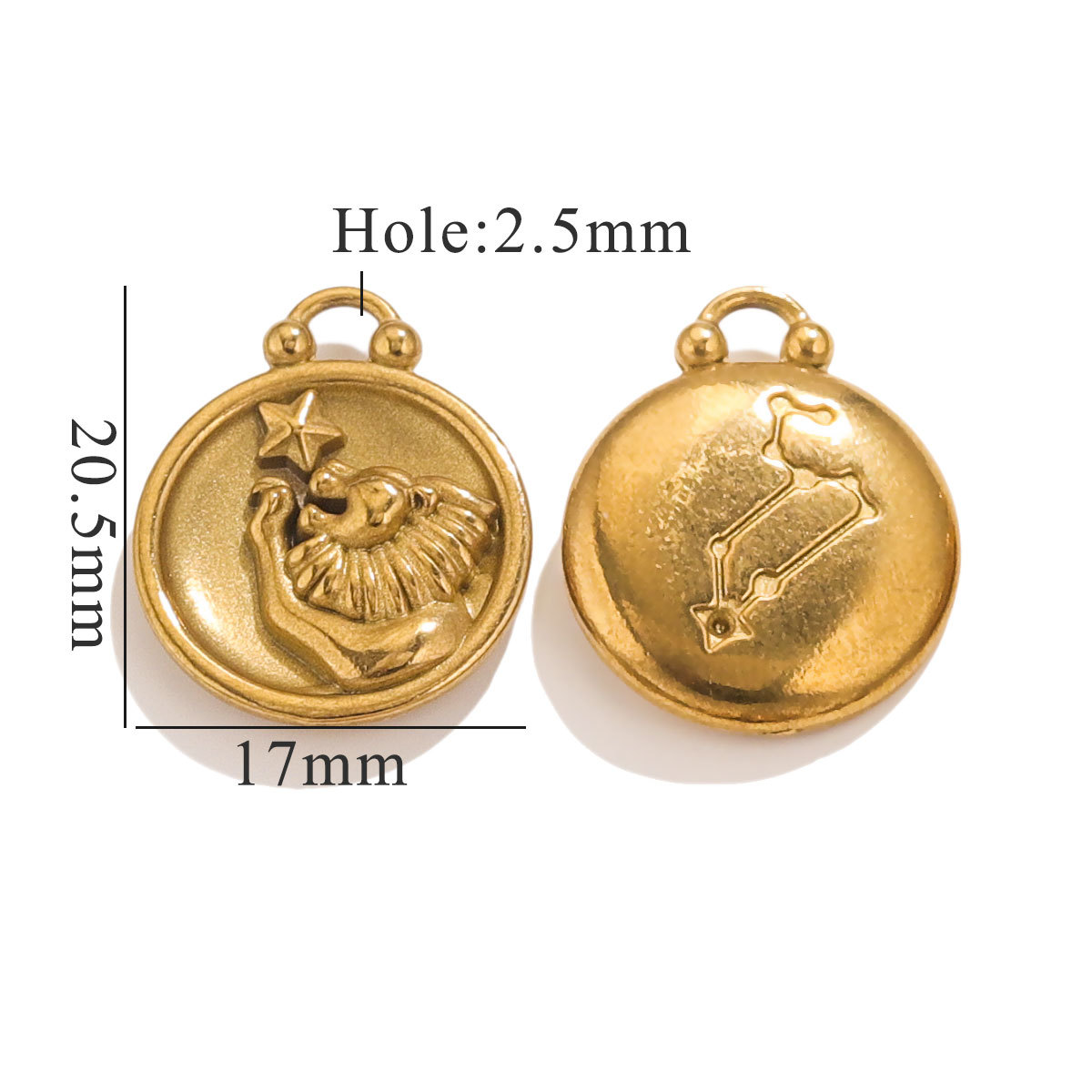 Gold color / 1 Piece Retro Classic Style Leo Shape Stainless Steel  Gold Color Unisex Pendant Picture14